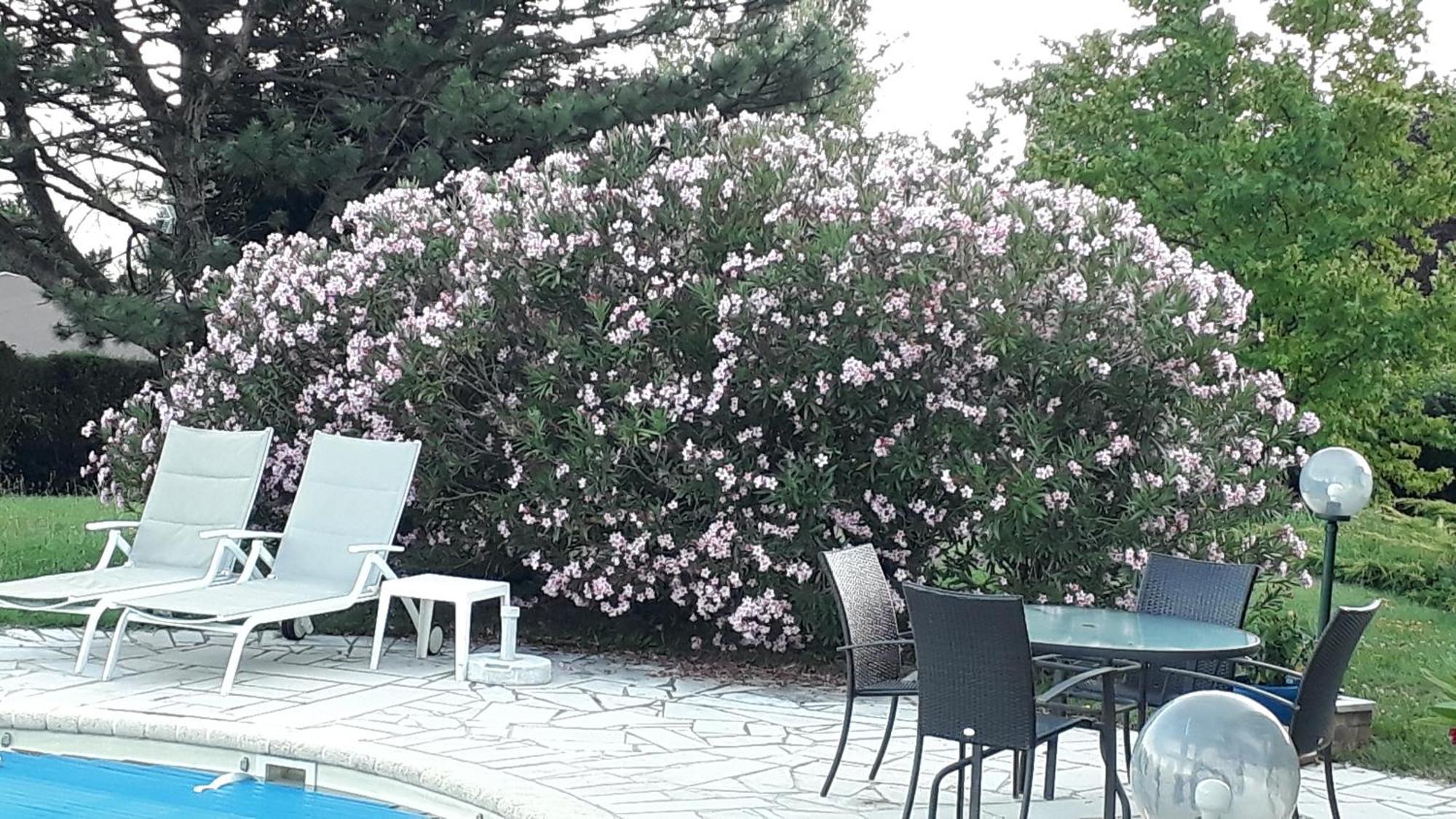 Villa Avec Vue Biviers Экстерьер фото